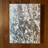 新 正春 KOHAMA ISLAND<span>コハマアイランド</span>