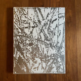 新 正春 KOHAMA ISLAND<span>コハマアイランド