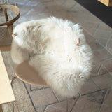 SHEEP SKIN<span>シープスキン</span>