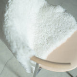 SHORT CURLY SHEEP SKIN<span>ショートカーリーシープスキン</span>