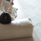 心石工芸 TERRA SOFA背クッション レザー仕様