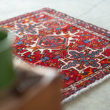 Tribal Rug 80×63<span>トライバルラグ 25030754