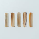 KOST KAMM Pocket comb 150H <span>コストカムポケットコーム