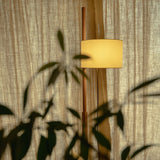 TMM<span>ティエムエム</span>