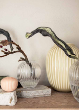 HAMMERSHOI Clear<span>ハンマースホイ クリア</span>