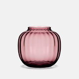 プリムラベースプラム