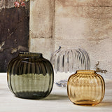 プリムラシリーズ