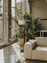 TMM ブラックオーク ホワイト