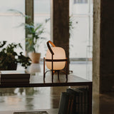 セスティータバテリア サンタ&コール