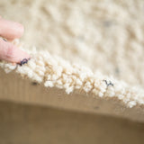 Beni Ouarain 163×95<span>ベニワレン</span>