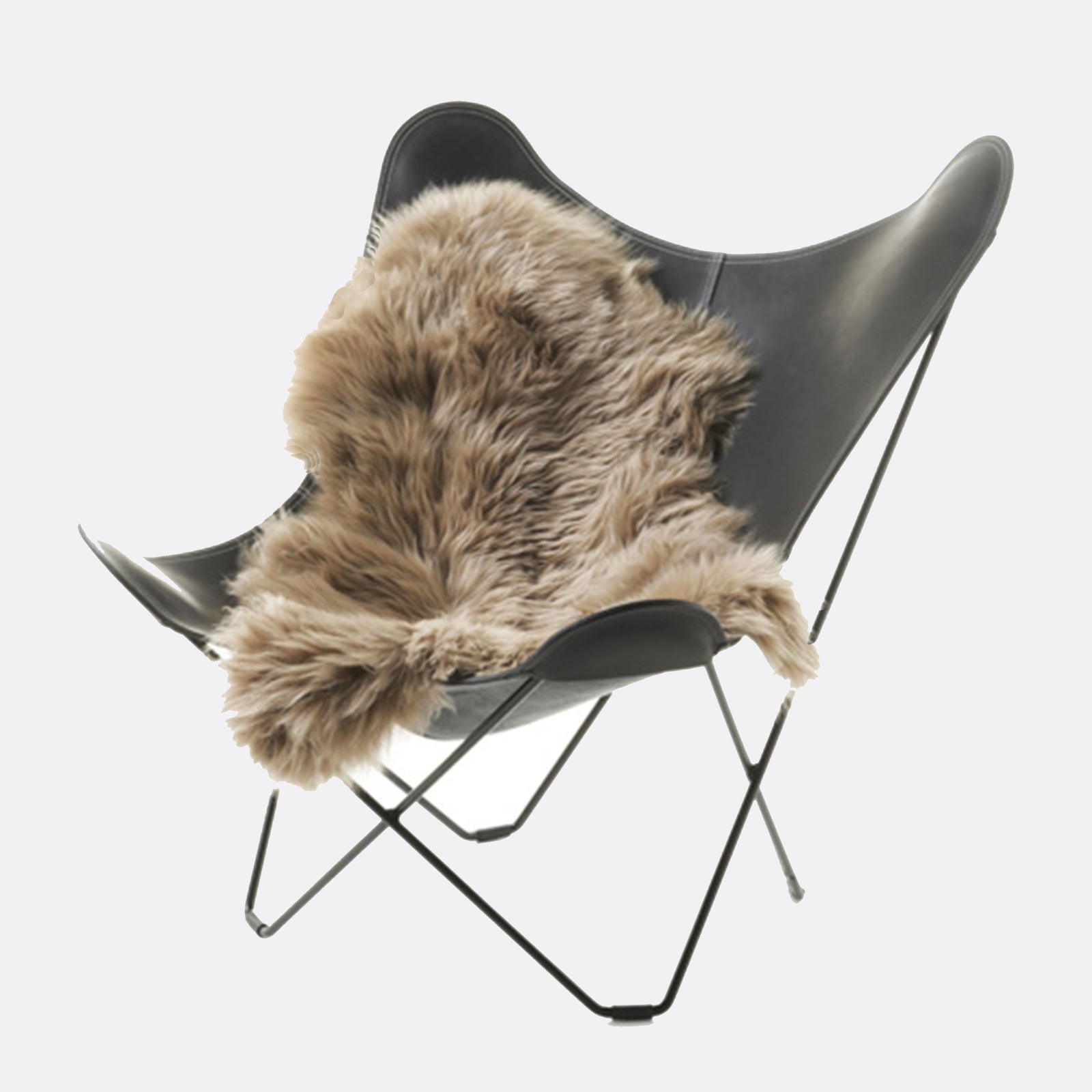 SHEEP SKIN シープスキン | G.E.M ONLINE STORE – ラグ・絨毯