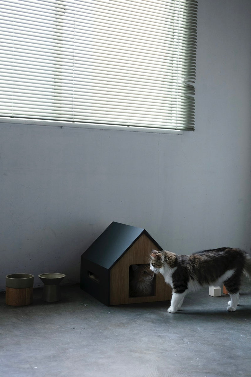 HÜTTE / cat house <span>
