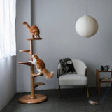 KINOBORI / cat tower <span>