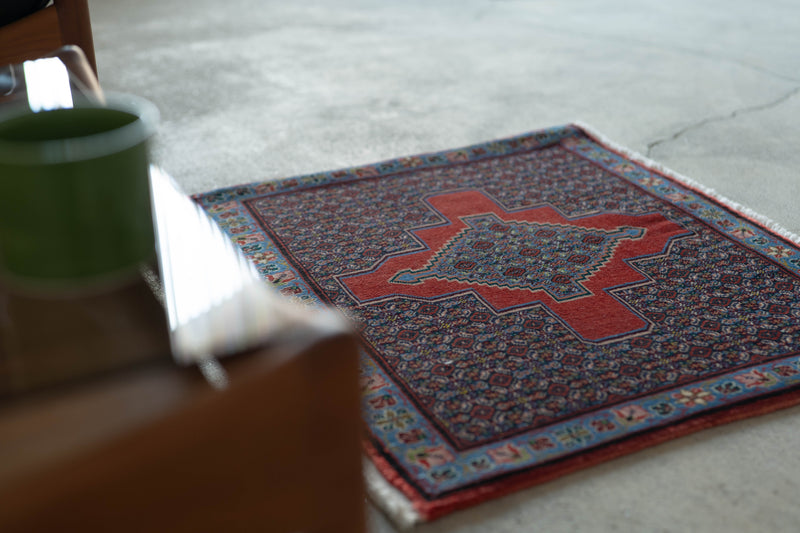 Tribal Rug 80×60<span>トライバルラグ 25031669</span>