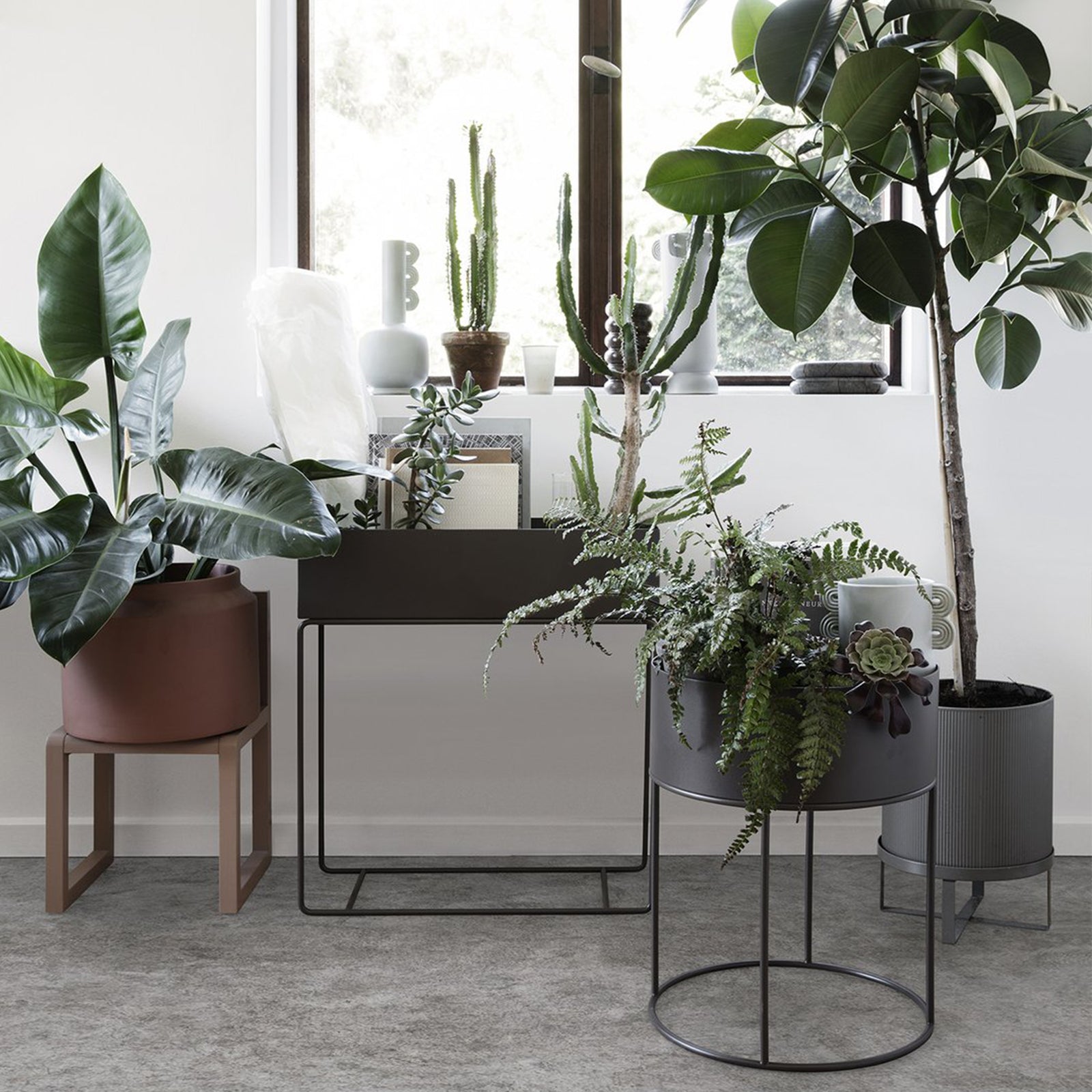 楽天市場】ferm LIVING ファームリビング Plant Box プラント